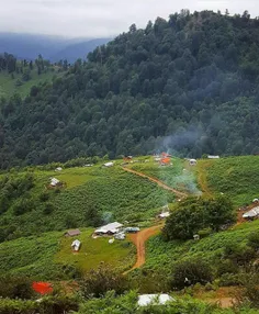 امروزتون به زیبایی گل