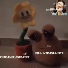 براتون طنز mbti آوردم نابی😂