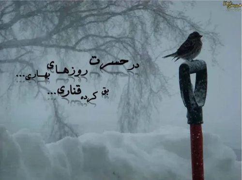 در حسرت روزای بهاری...
