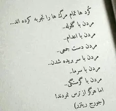 بژی کورد و کوردستان