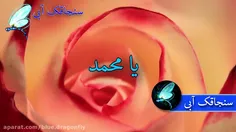 امشب سخن ازجان جهان بایدگفت / توصیف رسول(ص) انس و جان بای