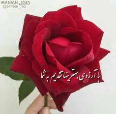 یک دنیا "ارادت"🌹🍃