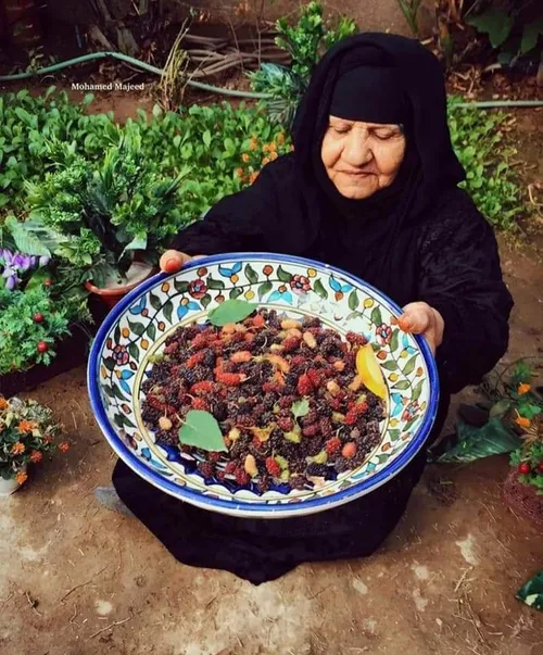 البقاء ليس للأقوى ..! البقاء لـ الأخف ، لـ الألطف ، لـ ال