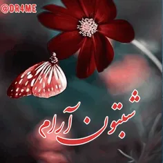 🌸الهی به خواب 