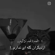 🖤🙂💔