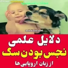 ✅ شبهه: