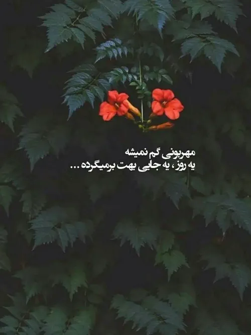 عکس نوشته