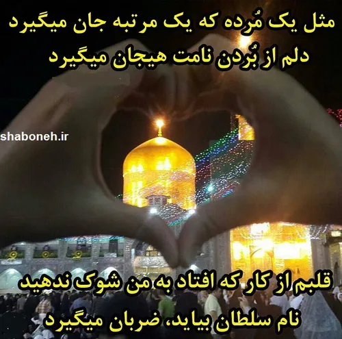 امام رضا