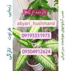 abyari_hushmand 49307371