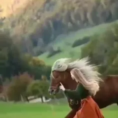 رویای من اسبی بود که هیچ وقت به میدان مسابقه نرفت 