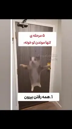 حقققققق به تمام معنا💯