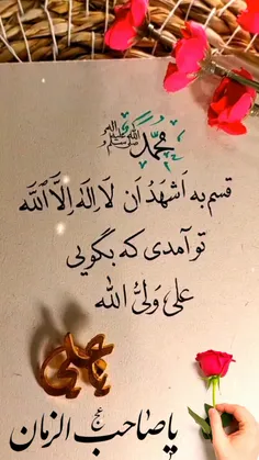 « من از خدا که تو را آفرید ممنونم ، یا رسول الله »