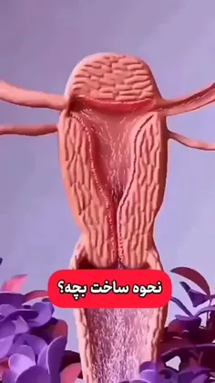 لایک_حمایت