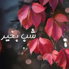 ‌‌‌‌‌‌‌‌‌‌💫 چراغی براتون روشن میکنم