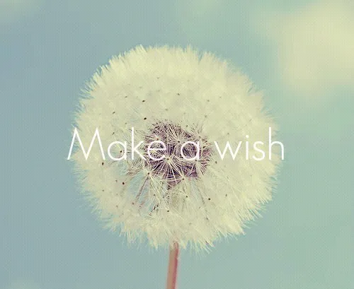یک آرزو کن...