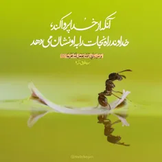 آنکه از خدا پروا کند 