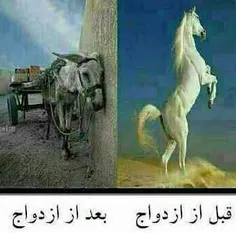 هههههههههههه