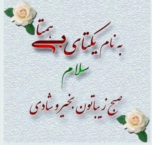 🌹🌾🌹🌾🌹🌾