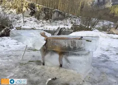 📸  روباه یخی یک شکارچی آلمانی روباهی را که به دریاچه افتا