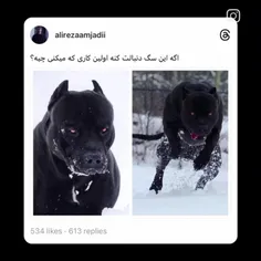 فرار تا دمه تهران پارس