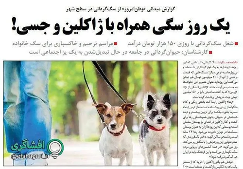 "وطن امروز" یه گزارش میدانی رفته از سگ هایی که قیمت بعضی 