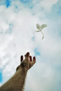 .