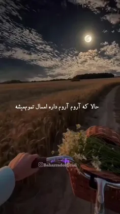 امسال هم گذشت، کمی پیرتر شدم
