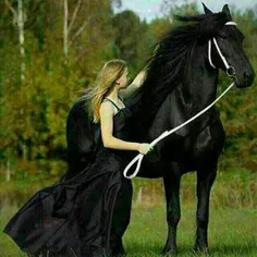 اسب سیاه من