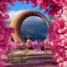 عکس نوشته najmeh88 34012516