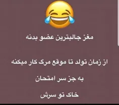 واقعا