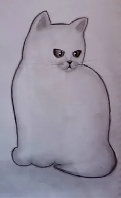 طراحی گربه 🐾🌈