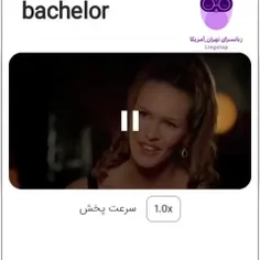 Bachelor 