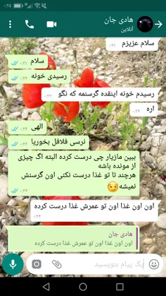 شب همگی دوستان بخیرو شادی من برم ک اردک جان اومد بای