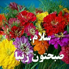 عکس خبری faaaaaaateme 12813794