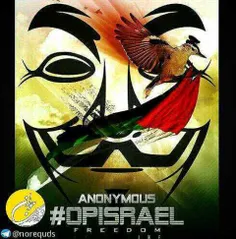 هکر های آنانیموس: ما فرزندان مردم فلسطین هستیم.