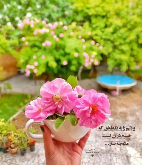 🌸پيچيده هـواى عـاشقى اولِ صبح