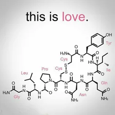 این عشق است :) مولکول Oxytocin در مغز قرارداشته و باعث ای