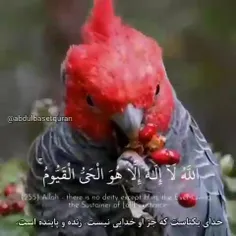 ‍ 💫🦋💫🦋بسم الله الرحمن الرحیم 