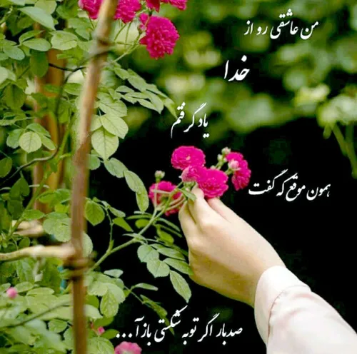 من عاشقی رو از