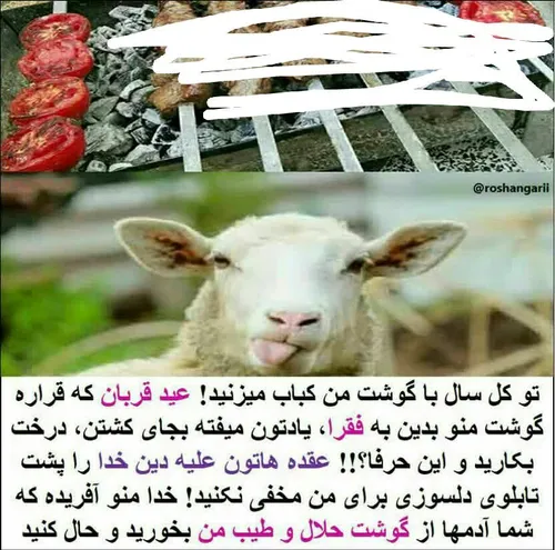 🍃🌺 پیام مهم گوسفند های عزیز.. به روشنفکر نماها و سلبریتی 