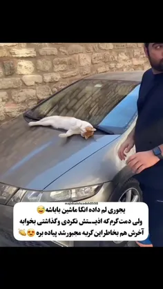 اخه چقدر میشه مهربون بود😍
