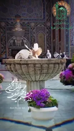 روز هشتم ماه مبارک رمضان 