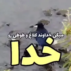 بله این شامل پسرا و دخترا هم میشه