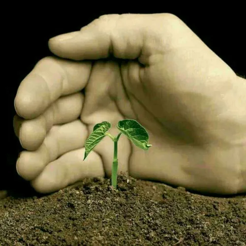 همیشه خاک گلدان کسی باش