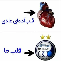 قلب‌من‌                              قلب ما