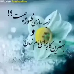 السلام علیک یا بقیه الله