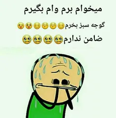 کی ضامن میشه 😂