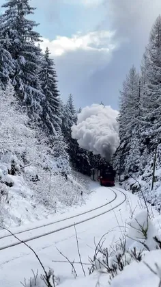 🚂🕰❄🌲