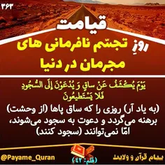 #قران #قرآن #قرآن_کریم #قران_کریم #القرآن #القران_الکریم 