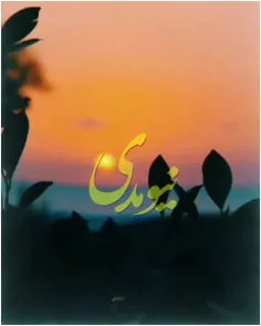 یا+مهدی+ادرکنی